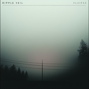 缸交视频免费观看
