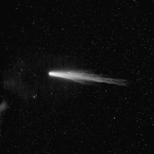 缸交视频免费观看
